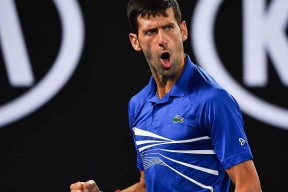 开云- 德约科维奇比赛直播入口 